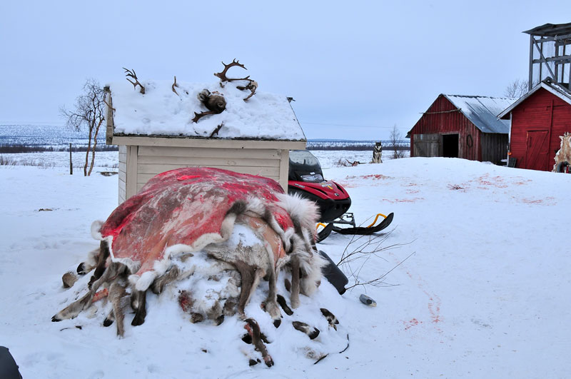 Scandinavie, Norvge, Sude, Finlande